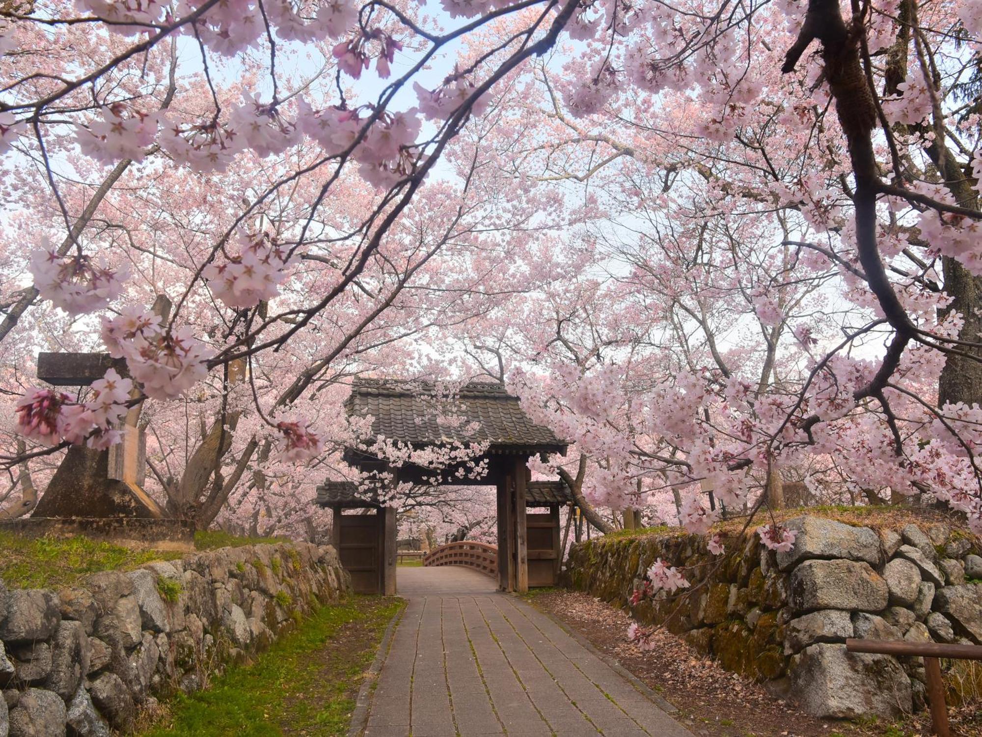Hotel Yoshinotei Iida Exteriér fotografie