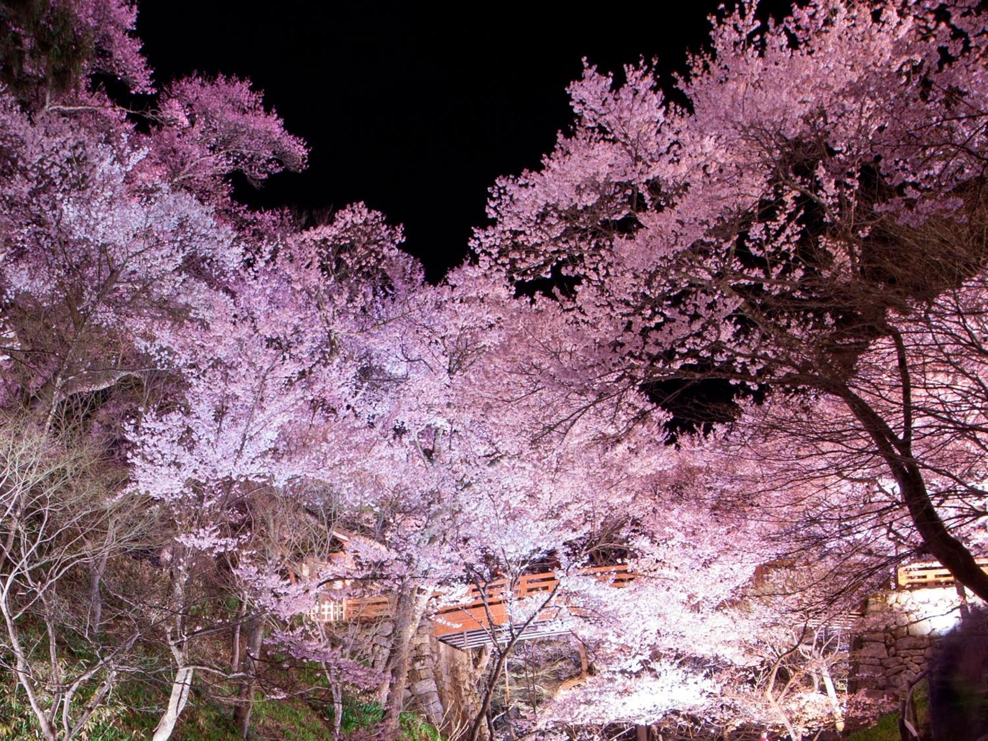 Hotel Yoshinotei Iida Exteriér fotografie